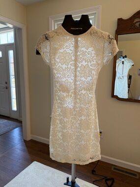 Lucy in the Sky White Lace Mini Dress